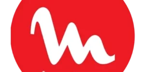 Assistência Técnica Moulinex